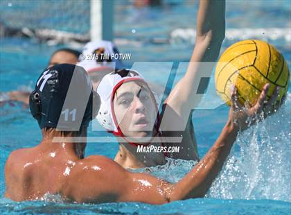 Thumbnail 3 in Greenwich vs La Jolla photogallery.