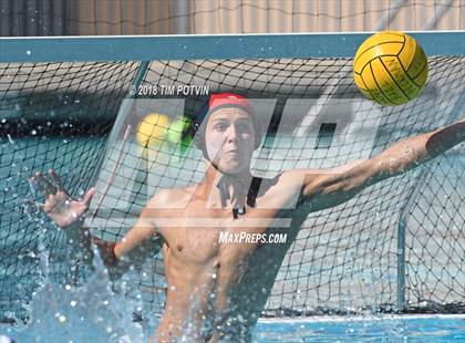 Thumbnail 2 in Greenwich vs La Jolla photogallery.