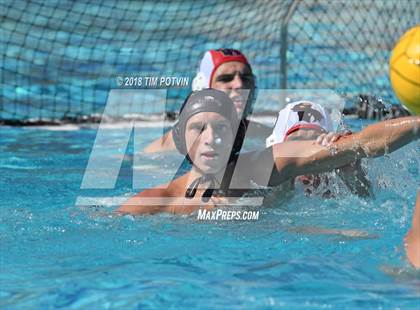 Thumbnail 2 in Greenwich vs La Jolla photogallery.