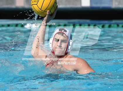 Thumbnail 2 in Greenwich vs La Jolla photogallery.