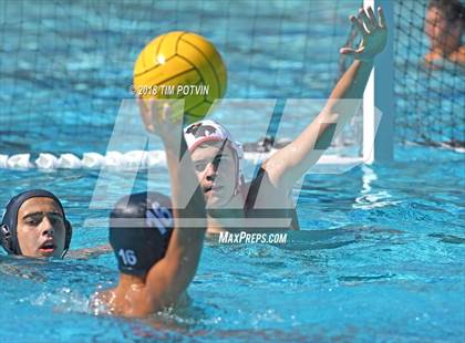 Thumbnail 2 in Greenwich vs La Jolla photogallery.