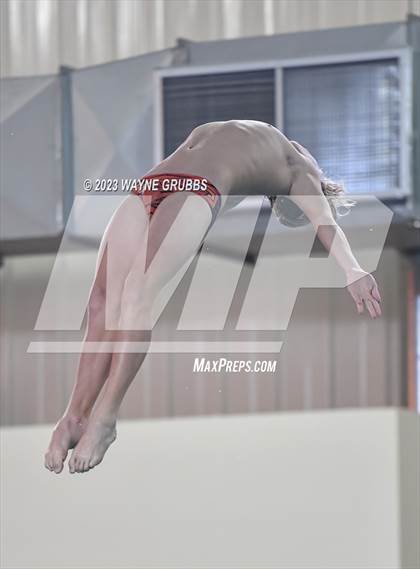 Thumbnail 1 in UIL 15 5A Boys Swimming & Diving Championship photogallery.