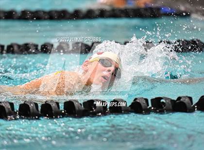 Thumbnail 1 in UIL 15 5A Boys Swimming & Diving Championship photogallery.