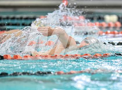 Thumbnail 1 in UIL 15 5A Boys Swimming & Diving Championship photogallery.