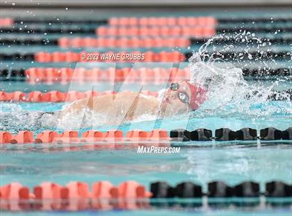 Thumbnail 1 in UIL 15 5A Boys Swimming & Diving Championship photogallery.