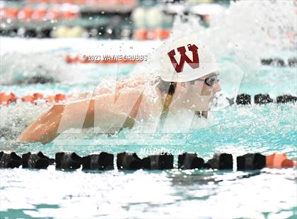 Thumbnail 3 in UIL 15 5A Boys Swimming & Diving Championship photogallery.