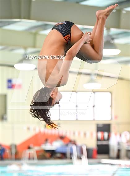 Thumbnail 1 in UIL 15 5A Boys Swimming & Diving Championship photogallery.