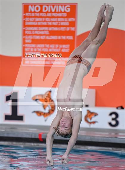 Thumbnail 1 in UIL 15 5A Boys Swimming & Diving Championship photogallery.