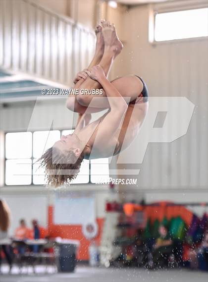 Thumbnail 2 in UIL 15 5A Boys Swimming & Diving Championship photogallery.