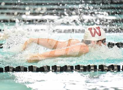 Thumbnail 1 in UIL 15 5A Boys Swimming & Diving Championship photogallery.