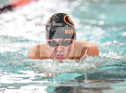 Thumbnail 3 in UIL 15 5A Boys Swimming & Diving Championship photogallery.