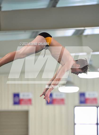 Thumbnail 3 in UIL 15 5A Boys Swimming & Diving Championship photogallery.