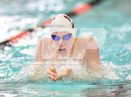 Thumbnail 2 in UIL 15 5A Boys Swimming & Diving Championship photogallery.