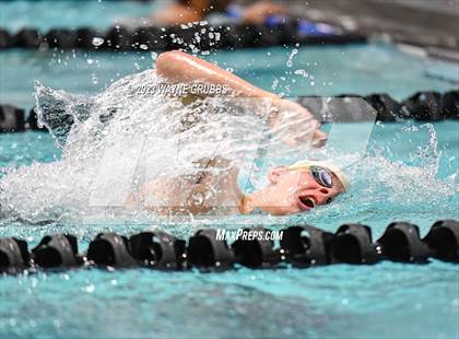 Thumbnail 1 in UIL 15 5A Boys Swimming & Diving Championship photogallery.