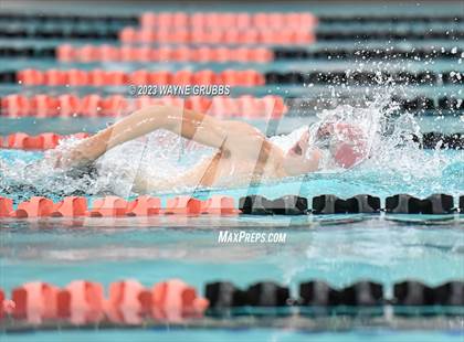 Thumbnail 2 in UIL 15 5A Boys Swimming & Diving Championship photogallery.