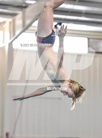 Thumbnail 3 in UIL 15 5A Boys Swimming & Diving Championship photogallery.