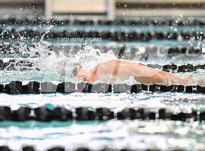 Thumbnail 1 in UIL 15 5A Boys Swimming & Diving Championship photogallery.