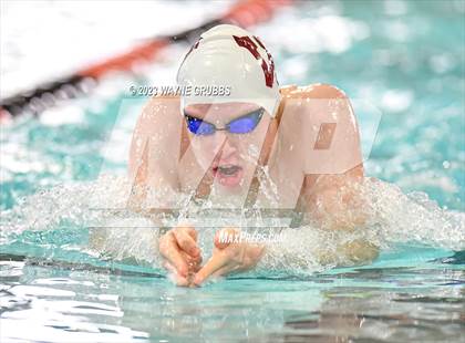 Thumbnail 3 in UIL 15 5A Boys Swimming & Diving Championship photogallery.