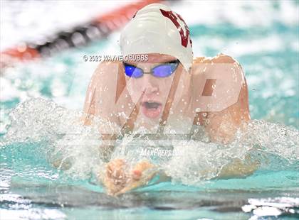 Thumbnail 1 in UIL 15 5A Boys Swimming & Diving Championship photogallery.
