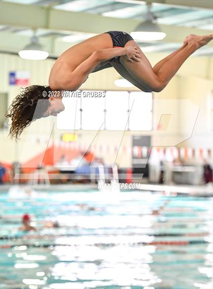 Thumbnail 2 in UIL 15 5A Boys Swimming & Diving Championship photogallery.