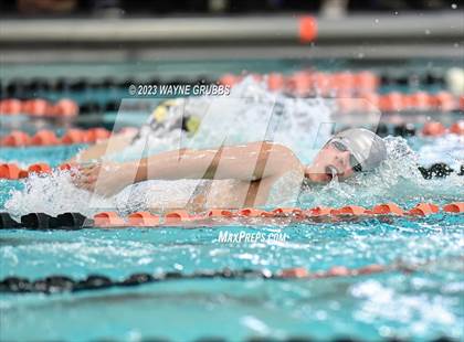 Thumbnail 3 in UIL 15 5A Boys Swimming & Diving Championship photogallery.