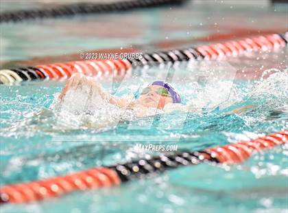 Thumbnail 3 in UIL 15 5A Boys Swimming & Diving Championship photogallery.