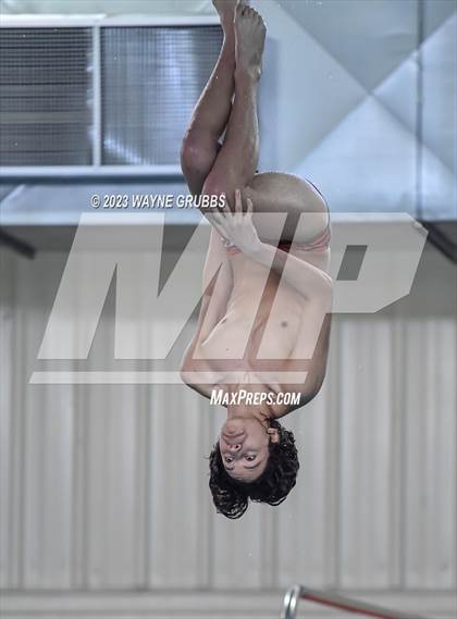 Thumbnail 1 in UIL 15 5A Boys Swimming & Diving Championship photogallery.