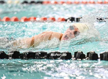 Thumbnail 3 in UIL 15 5A Boys Swimming & Diving Championship photogallery.