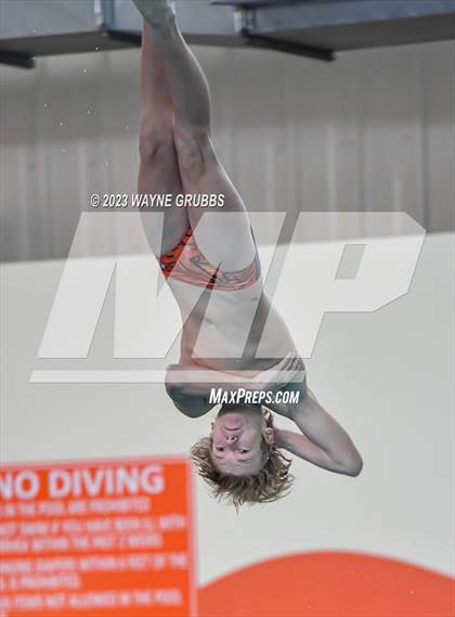 Thumbnail 1 in UIL 15 5A Boys Swimming & Diving Championship photogallery.