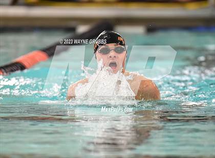 Thumbnail 1 in UIL 15 5A Boys Swimming & Diving Championship photogallery.