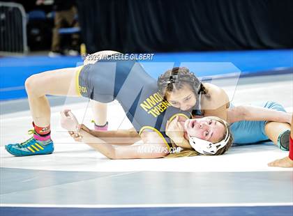 Thumbnail 3 in NYSPHSAA State Championships (Semi-Finals) photogallery.