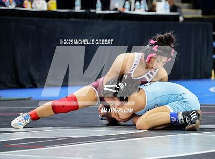 Thumbnail 2 in NYSPHSAA State Championships (Semi-Finals) photogallery.