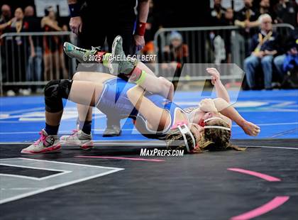 Thumbnail 1 in NYSPHSAA State Championships (Semi-Finals) photogallery.