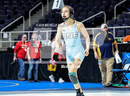 Thumbnail 3 in NYSPHSAA State Championships (Semi-Finals) photogallery.