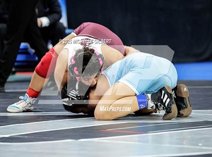 Thumbnail 3 in NYSPHSAA State Championships (Semi-Finals) photogallery.