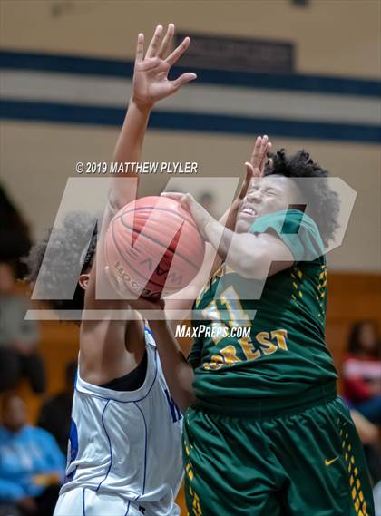 Thumbnail 2 in Pine Forest @ Westover photogallery.