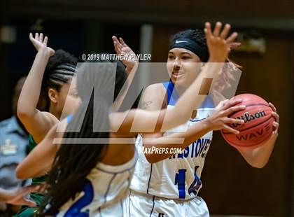 Thumbnail 1 in Pine Forest @ Westover photogallery.