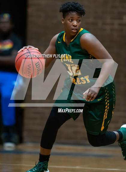 Thumbnail 3 in Pine Forest @ Westover photogallery.