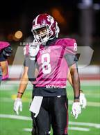 Photo from the gallery "Pine Bush @ Kingston"