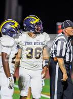 Photo from the gallery "Pine Bush @ Kingston"