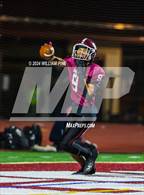 Photo from the gallery "Pine Bush @ Kingston"