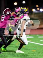 Photo from the gallery "Pine Bush @ Kingston"