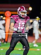 Photo from the gallery "Pine Bush @ Kingston"