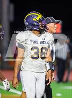 Photo from the gallery "Pine Bush @ Kingston"
