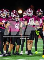Photo from the gallery "Pine Bush @ Kingston"