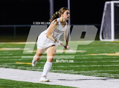 Thumbnail 1 in Pine Bush vs Kingston (Section 9 Class A Final) photogallery.