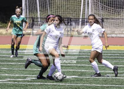 Thumbnail 1 in Archbishop Mitty @ Leigh (CIF-CCS Open Championship) photogallery.