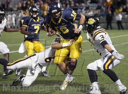 Thumbnail 2 in North Allegheny @ Central Catholic photogallery.