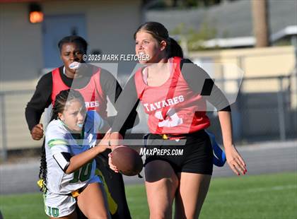 Thumbnail 2 in Lake Minneola @ Tavares photogallery.