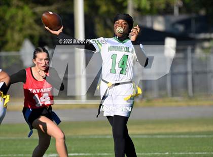 Thumbnail 3 in Lake Minneola @ Tavares photogallery.